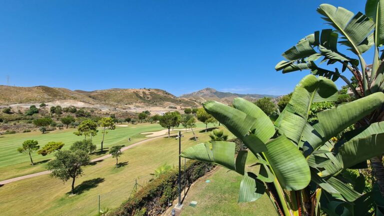 cd36c9c626f4ac28857b11ce70ecd265 - 13