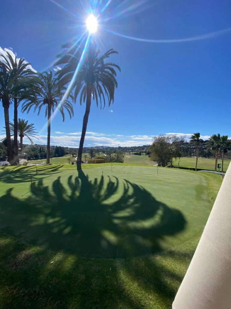 098e22671cfff0f19cee8546269f83a4 - 16