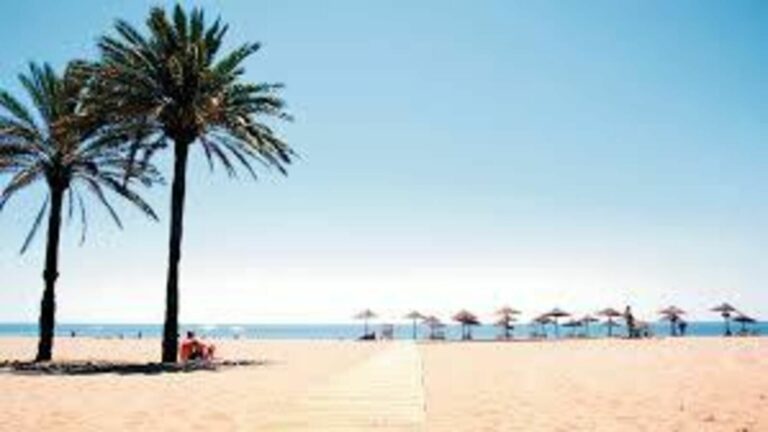 0adcc56b132d4f0e2130e2c4f7893388 - 15