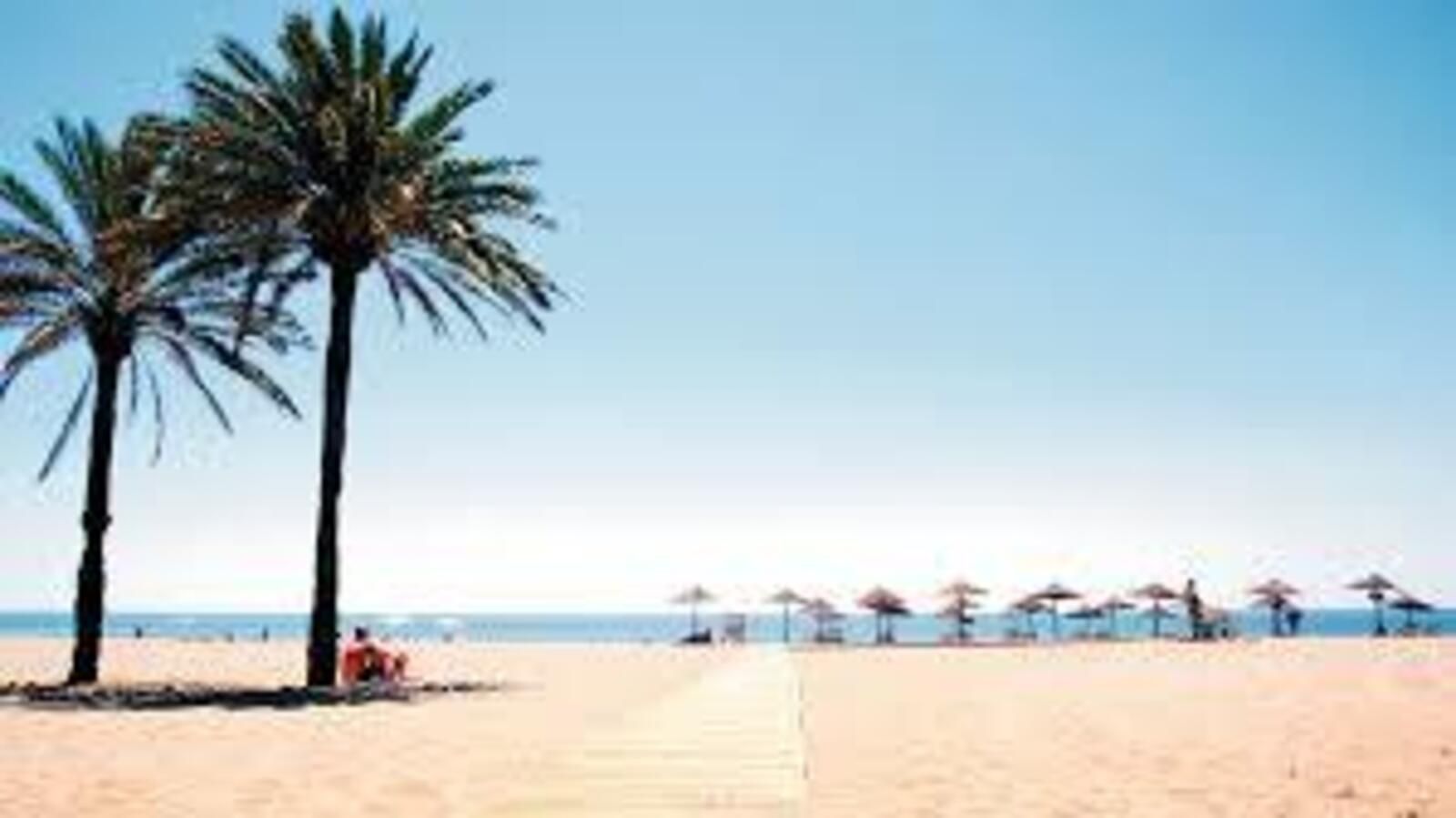 0adcc56b132d4f0e2130e2c4f7893388 - 15