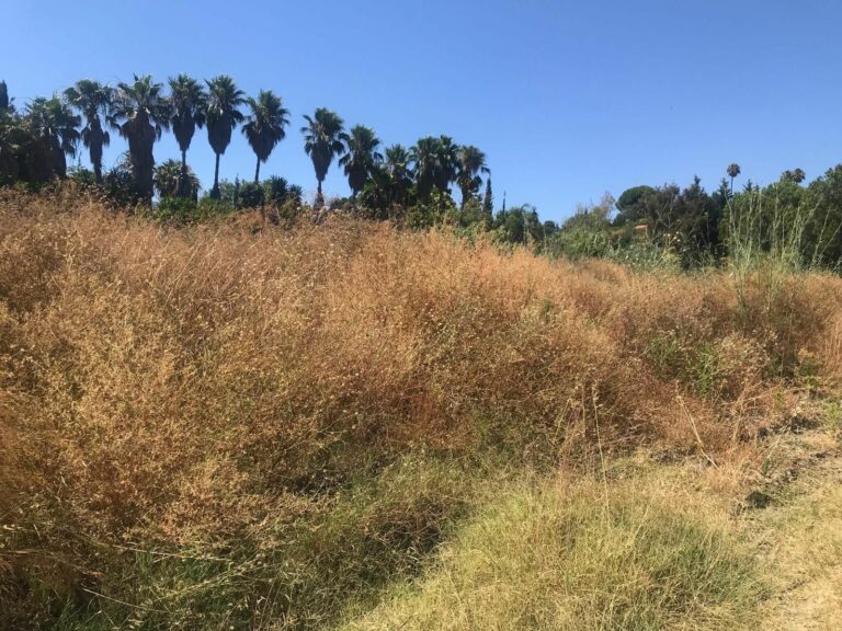 1631f42f0e9953fdf03f63fcbfbcf490 - 8