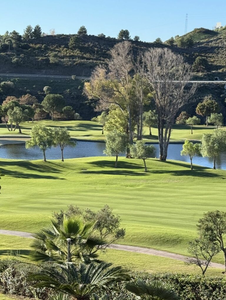 17eaedcead1a494f20cd578056116b3f - 16