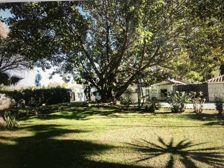 24a594370fa8e4d248d3a93304f8d05c - 4