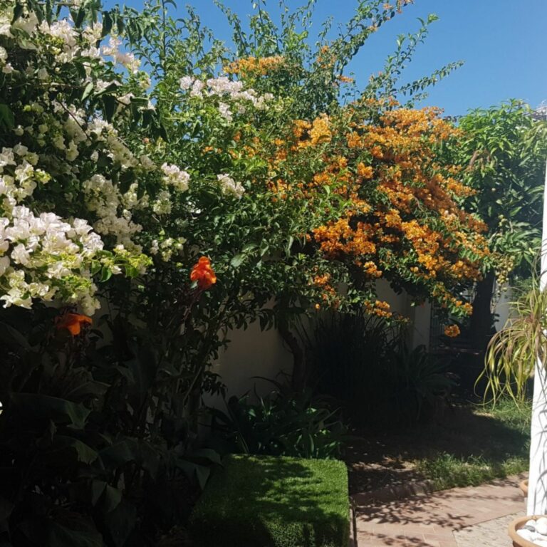 2aa7be5f2a2e08389cc667f26945c039 - 5