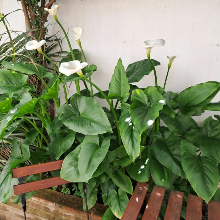 2aa7be5f2a2e08389cc667f26945c039 - 8