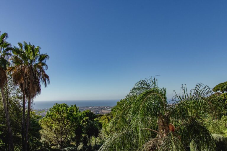 33d739a6537459cddfa71b7c4e7077c4 - 13