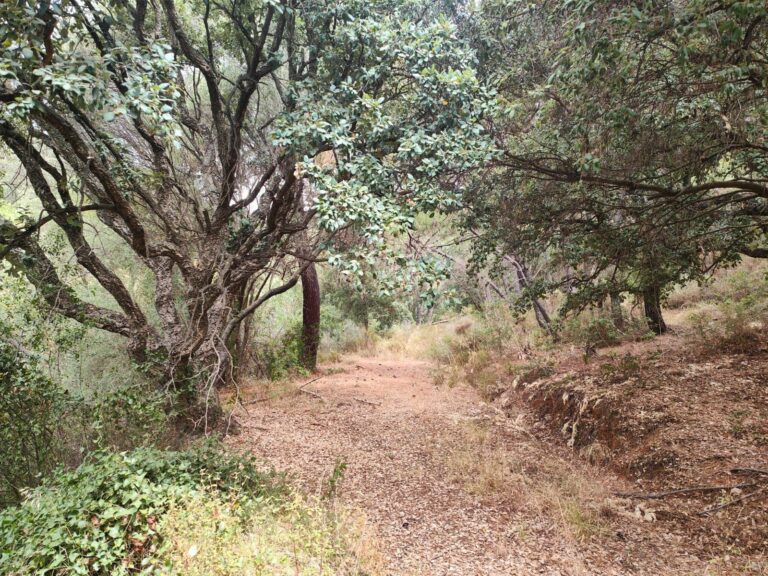 55a13744bb1094ef8127e80a5e15ed91 - 1