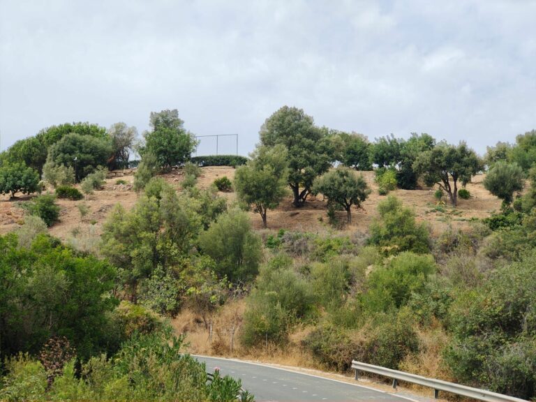 55a13744bb1094ef8127e80a5e15ed91 - 2