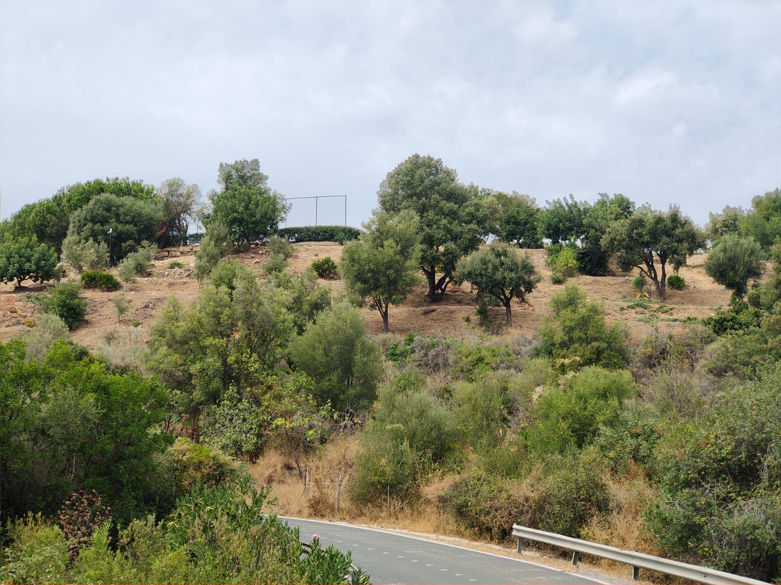 55a13744bb1094ef8127e80a5e15ed91 - 2