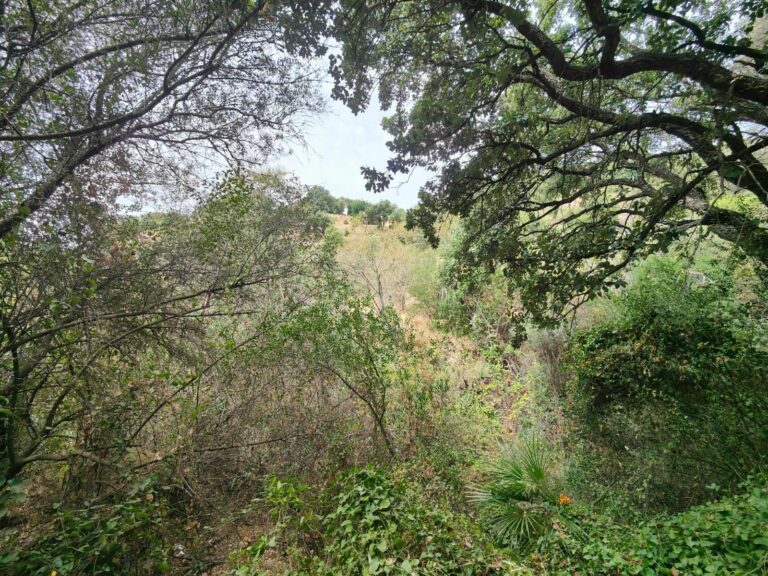 55a13744bb1094ef8127e80a5e15ed91 - 3