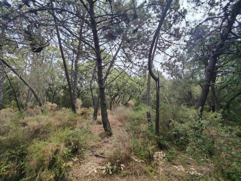 55a13744bb1094ef8127e80a5e15ed91 - 4