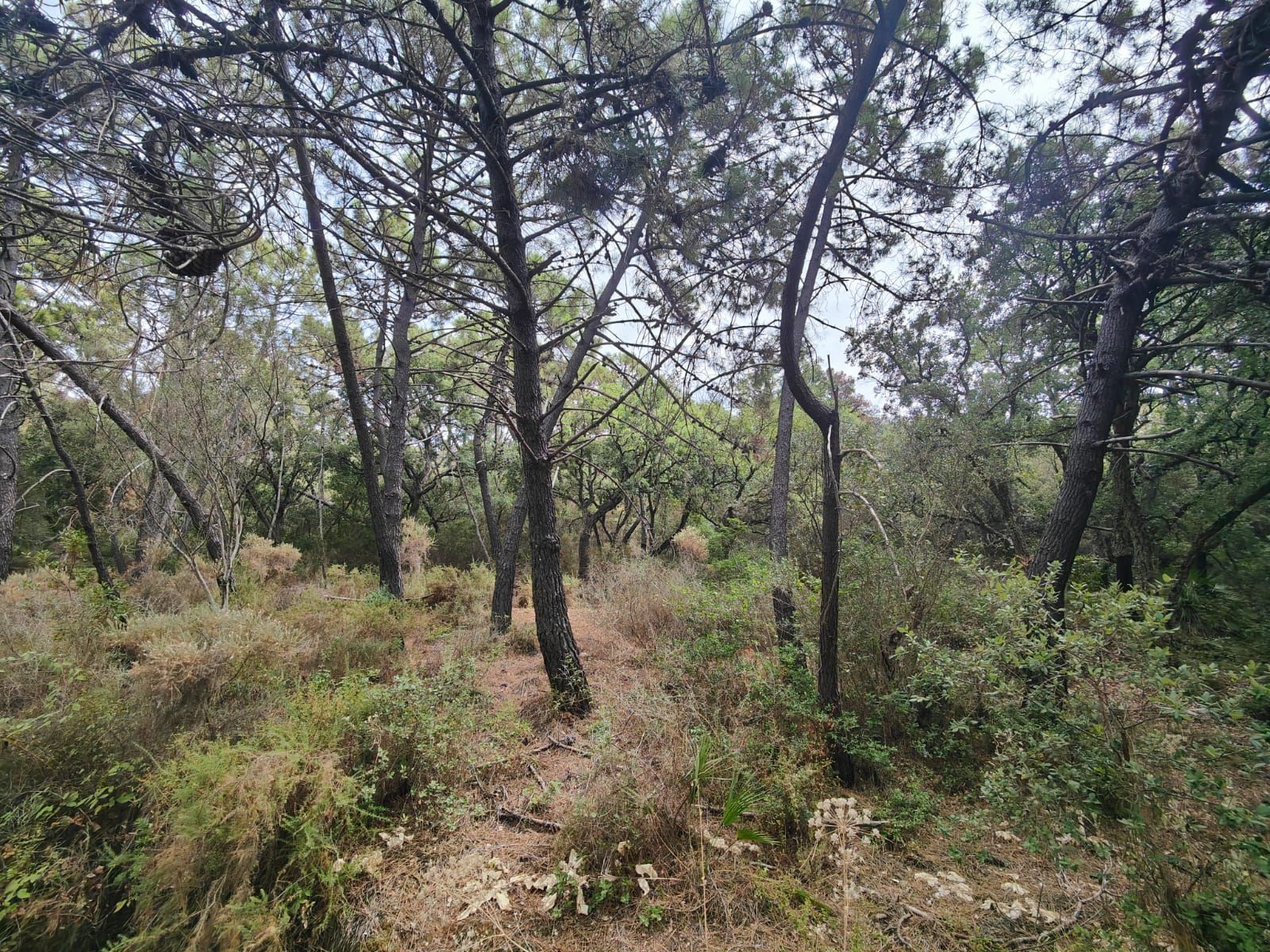 55a13744bb1094ef8127e80a5e15ed91 - 4