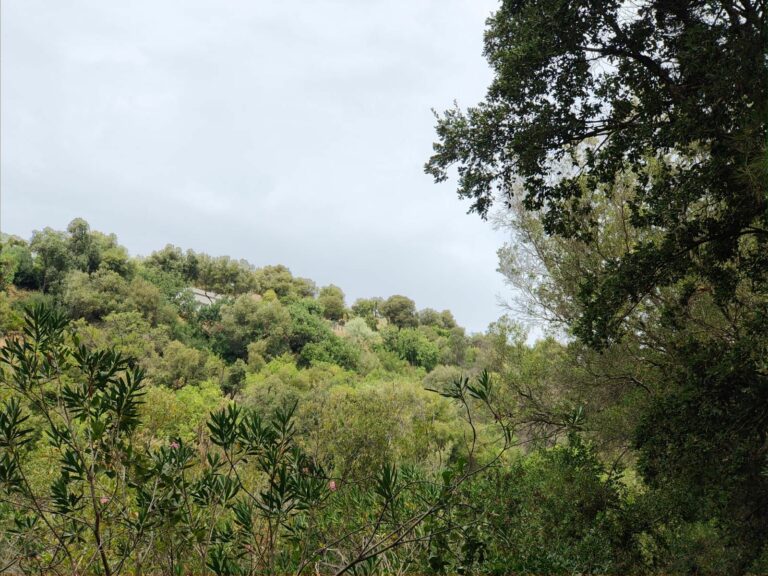 55a13744bb1094ef8127e80a5e15ed91 - 5