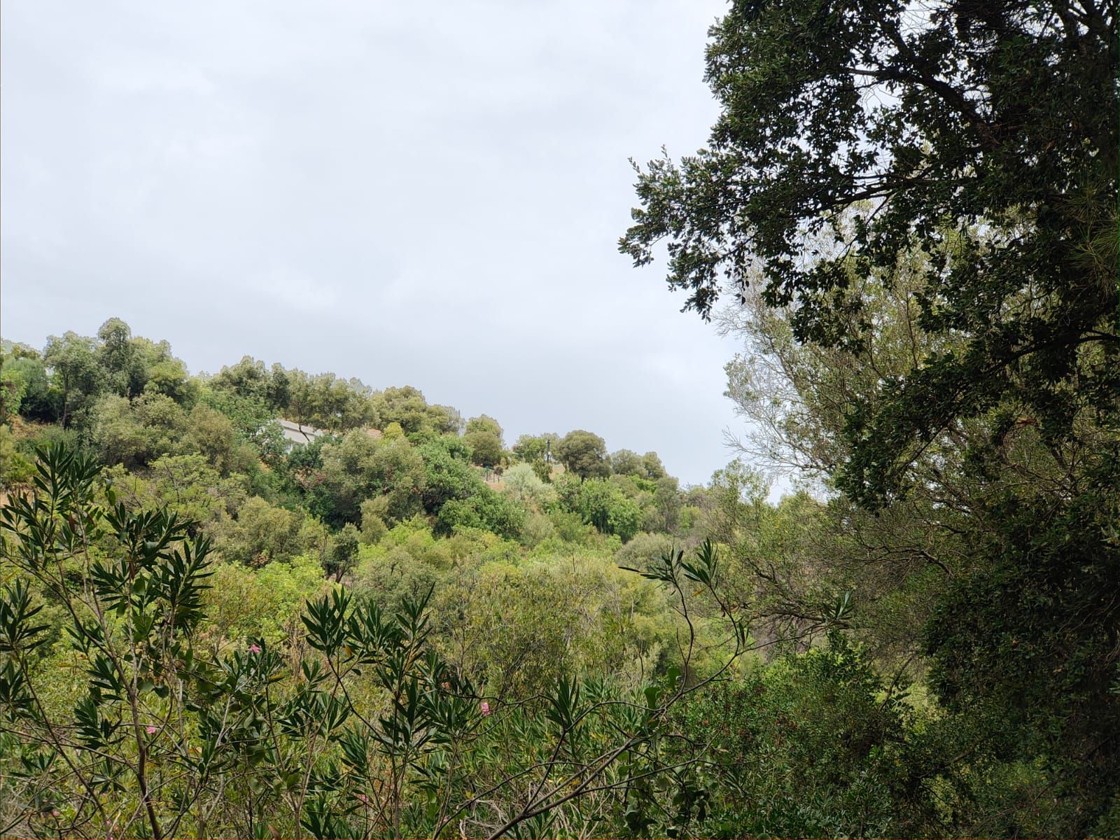 55a13744bb1094ef8127e80a5e15ed91 - 5