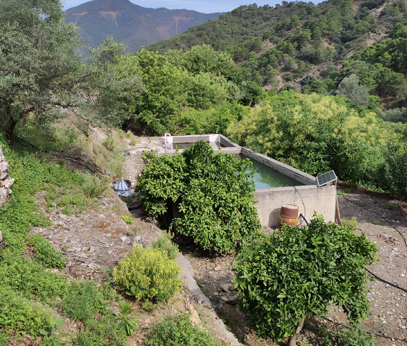 5ad2ee9653812f710339e2455e595387 - 12