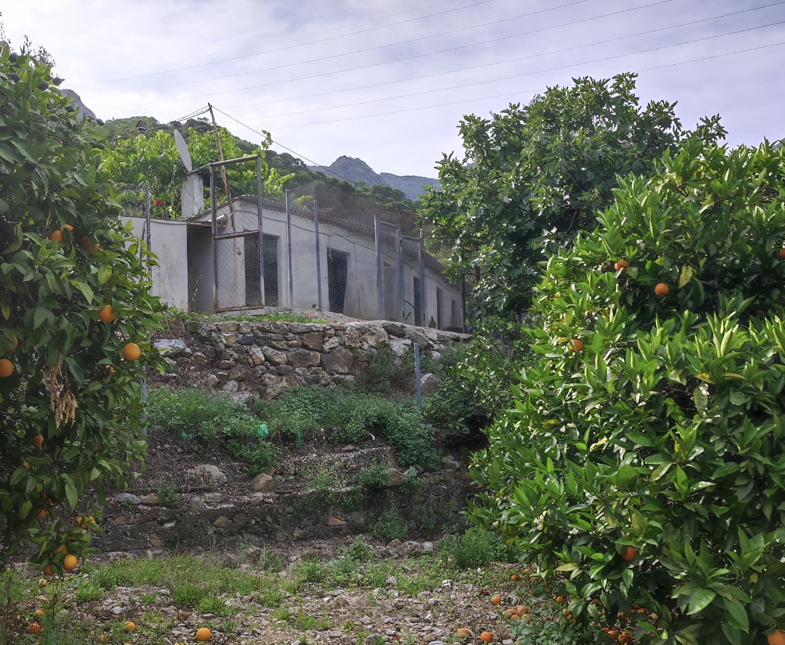 5ad2ee9653812f710339e2455e595387 - 13