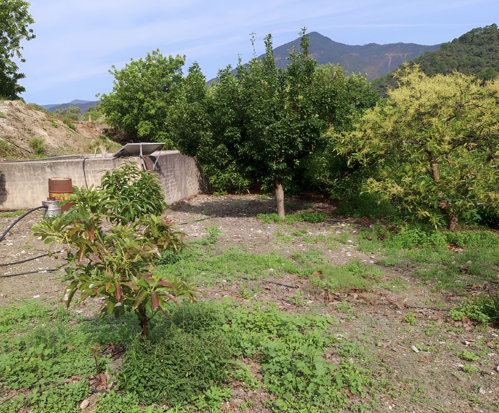 5ad2ee9653812f710339e2455e595387 - 15