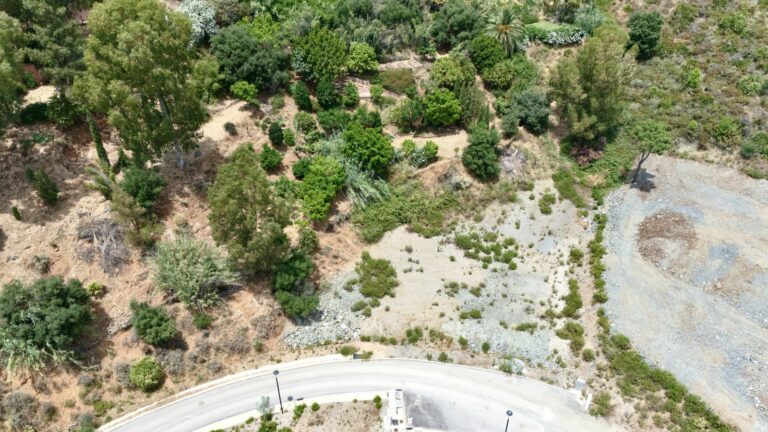 6d468eded8e27b8e4ba8d02121b2ec1b - 12