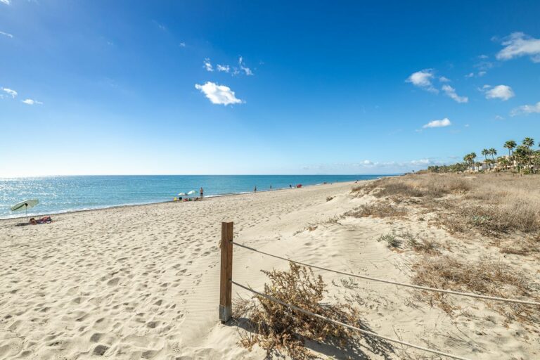 7e835a6032bbd2098a50f714e98a3cb5 - 13