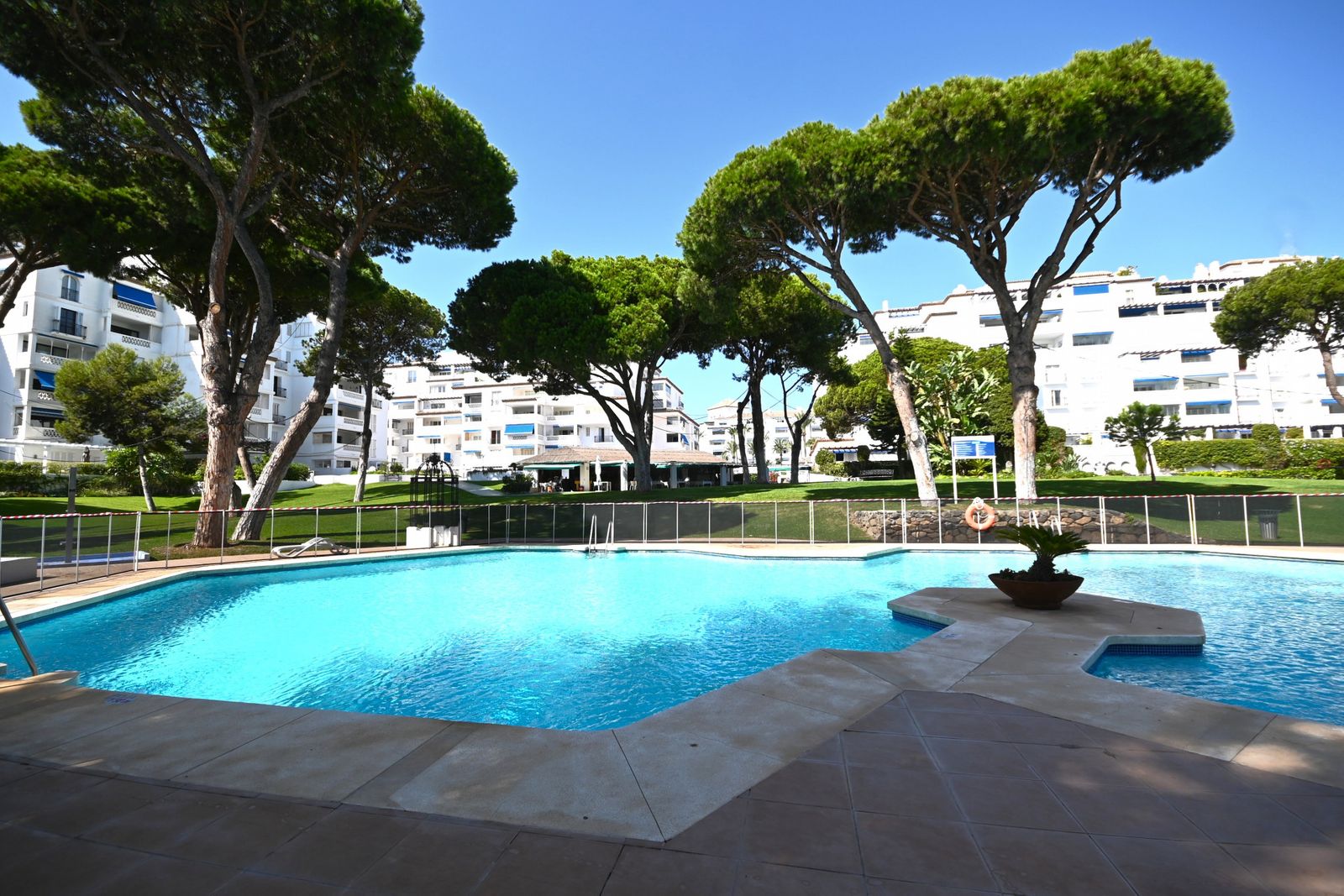 86ac3e98939f83d54ff7496eb71329c3 - 1