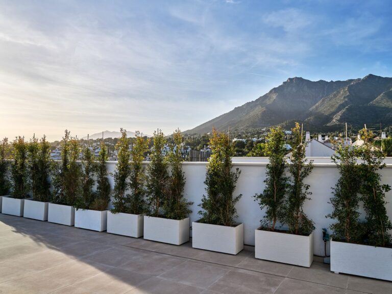 88d52ca94c89a4c4fd88463614393668 - 15