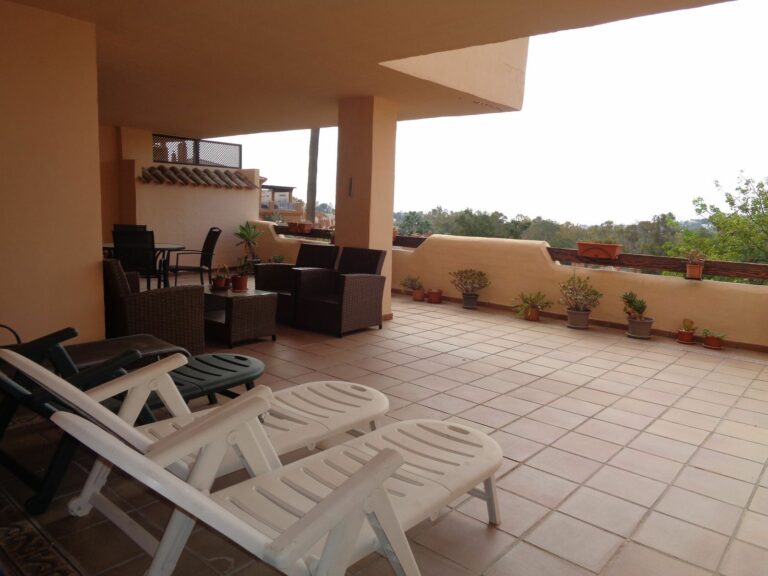 8db5030aaa94cfcd5ae6d59ef4f11c60 - 12