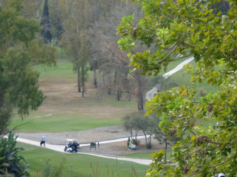 8db5030aaa94cfcd5ae6d59ef4f11c60 - 16