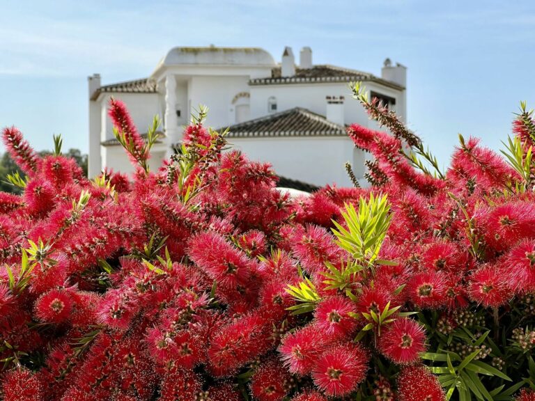 9753d55cff977a3af3278a73c02c3501 - 3