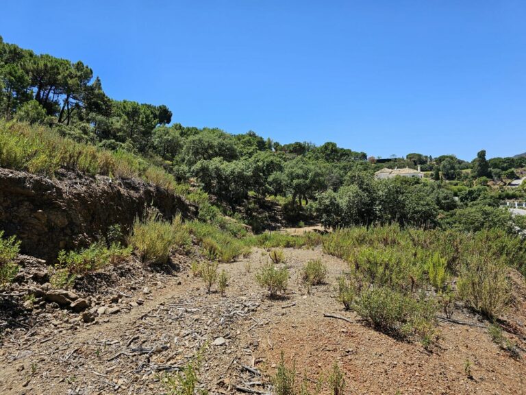 b5d54bc8975d4b1db9d828ecf9250674 - 7