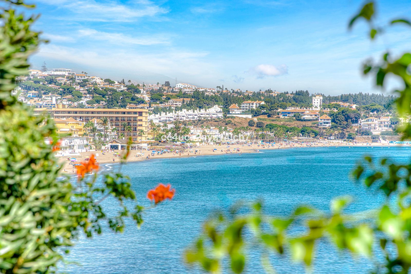 cb637608ee6c3ece16d84f8887225239 - 16