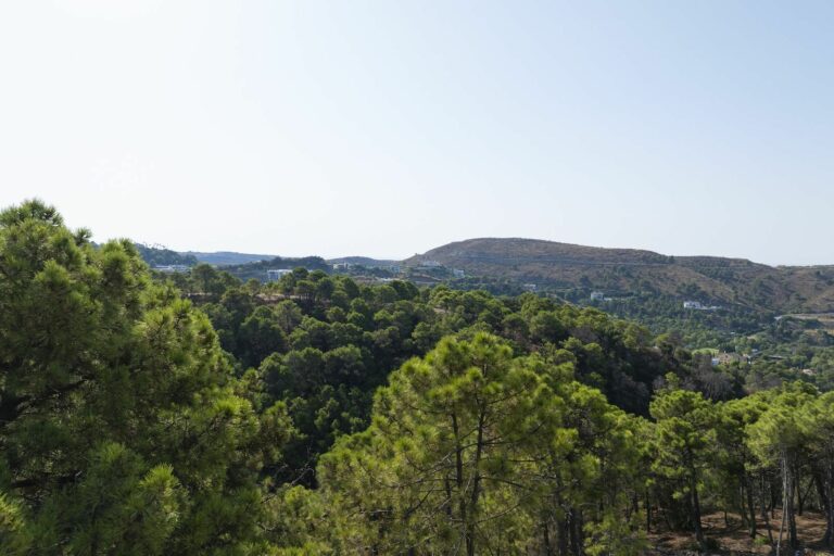 d9e807dbc5aaf6c700b54ff4bab0ad40 - 13