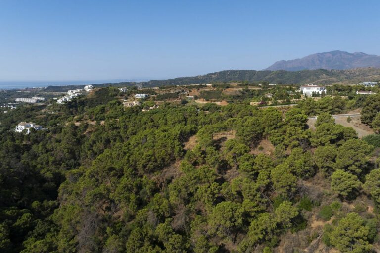 d9e807dbc5aaf6c700b54ff4bab0ad40 - 14