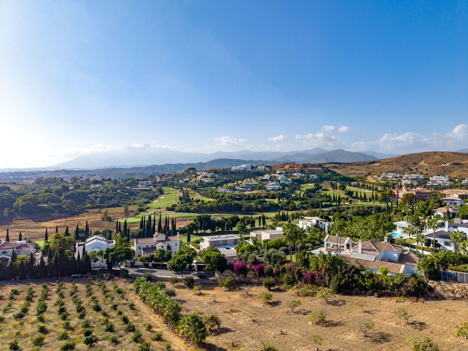 ed42877dfd73fe334d872123fa247adf - 1