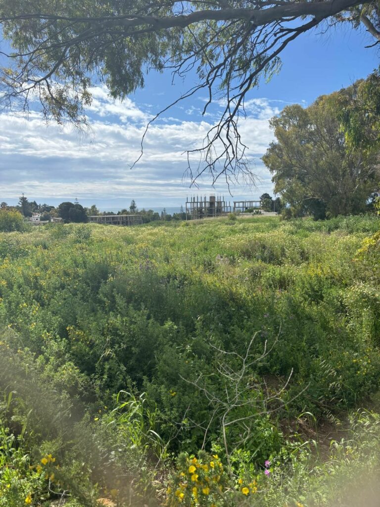 f3ed5d5f91602898940301b884340537 - 1