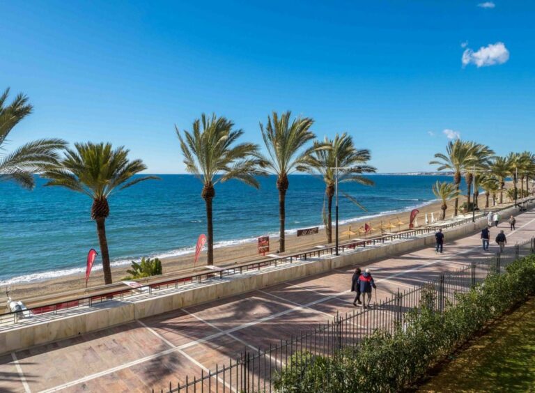 01d47d29a76360505ed6a3b4220be531 - 1