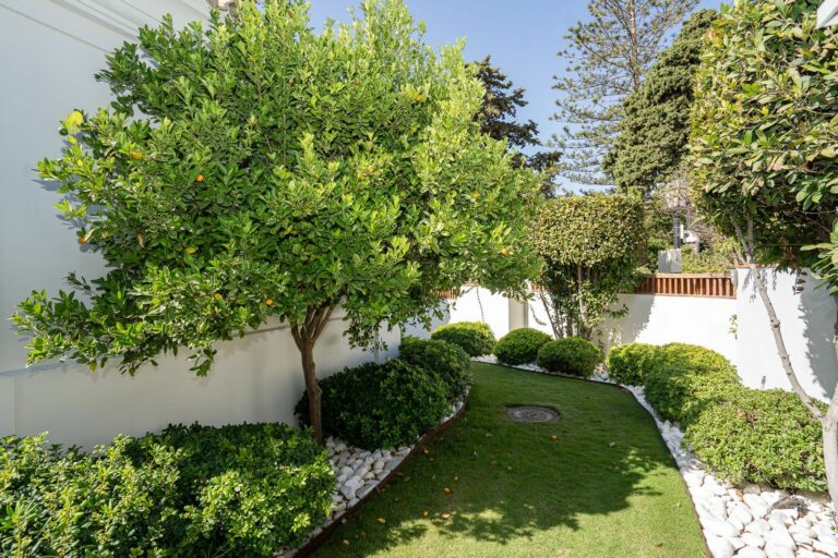 024bd6d30f59fc74e687b0d0d96b9199 - 5