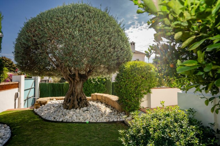 024bd6d30f59fc74e687b0d0d96b9199 - 7