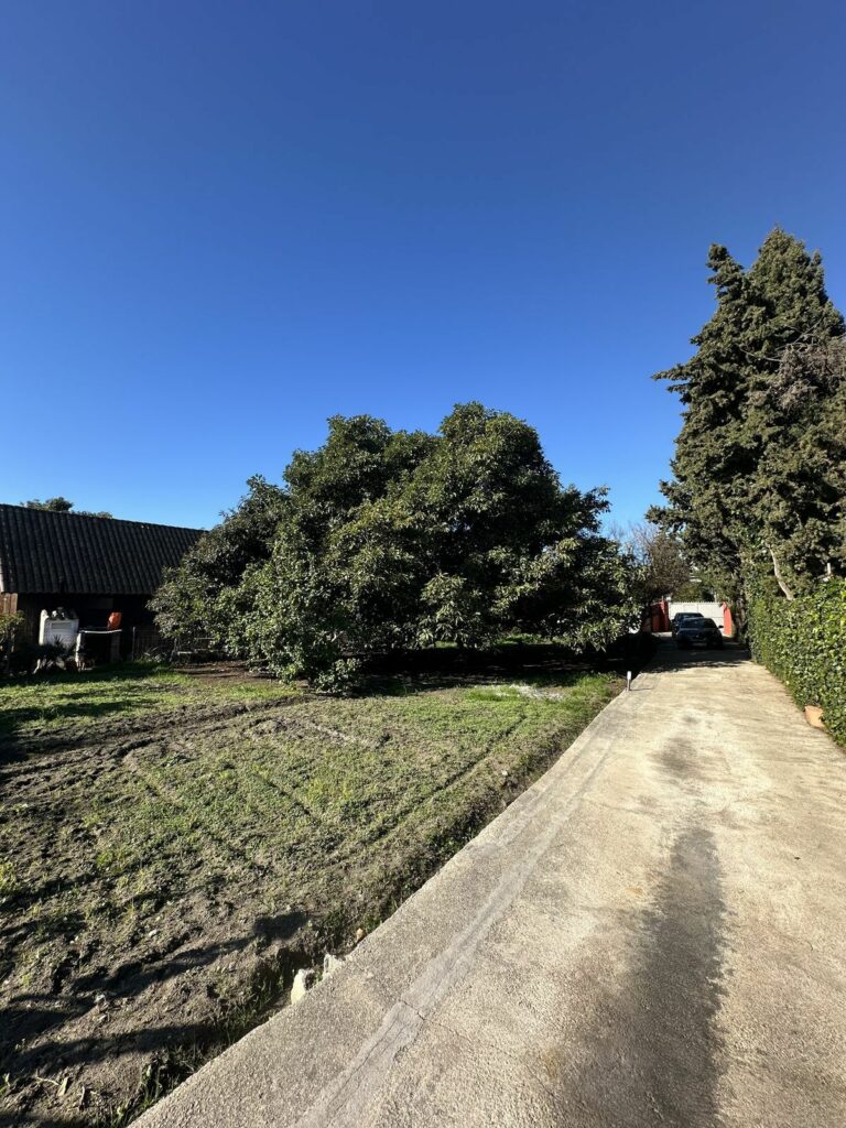 03d9c788e3cf144159c6b7dd72083168 - 13