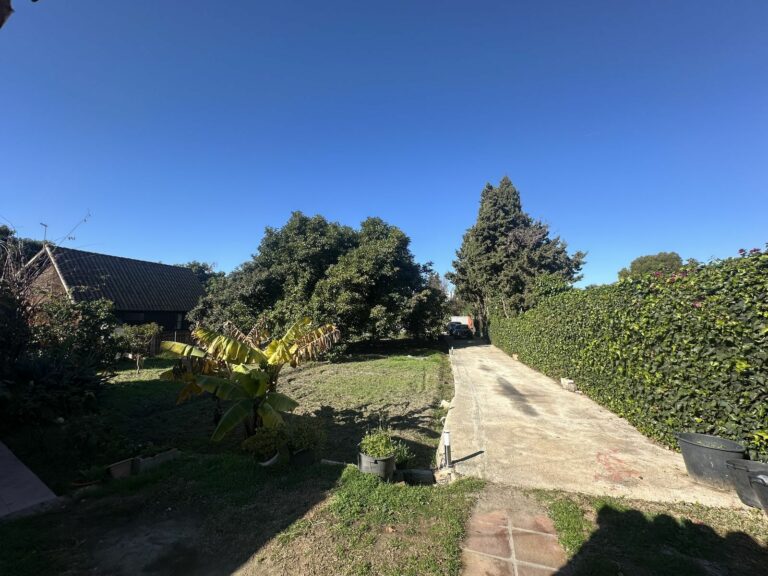 03d9c788e3cf144159c6b7dd72083168 - 6