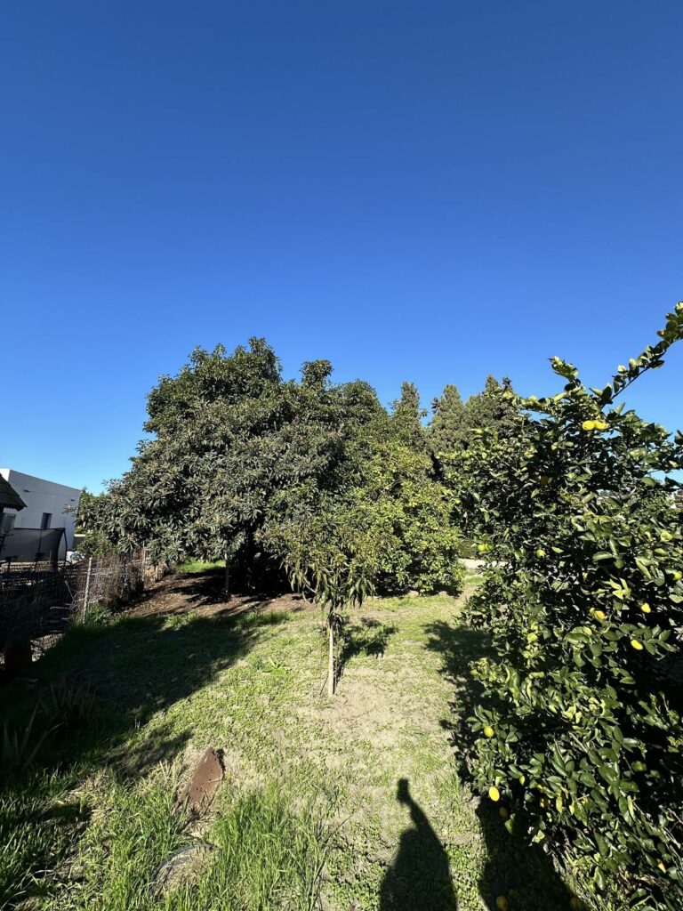 03d9c788e3cf144159c6b7dd72083168 - 9