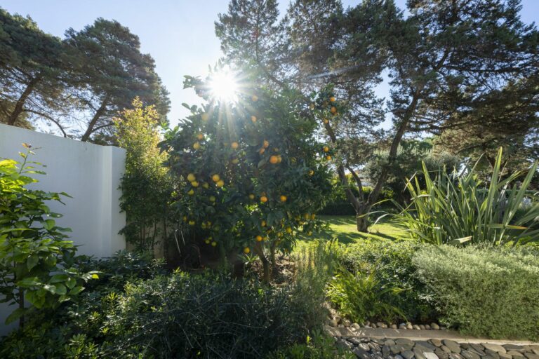 046bb08b454a99d21f83447e4590ef4b - 14