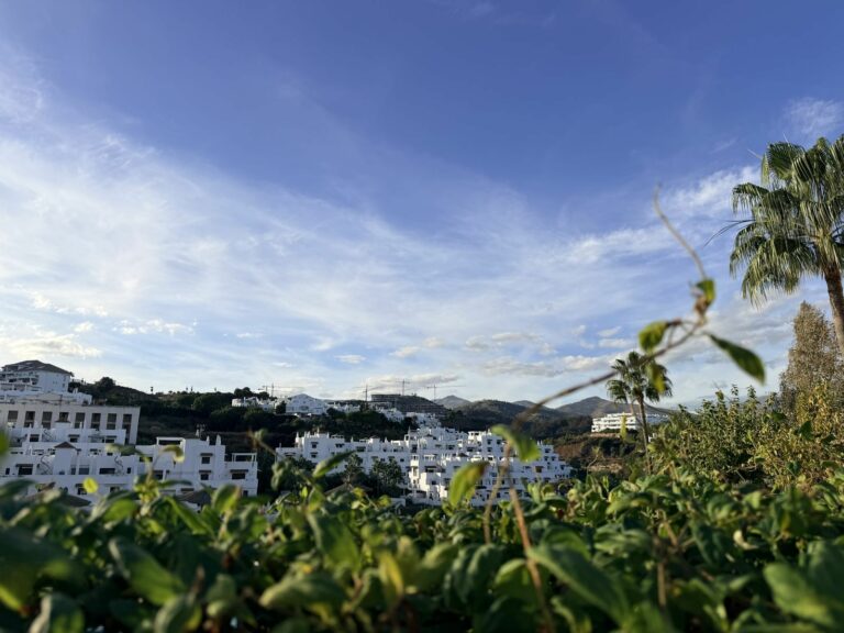 11c7d5be19872a4207c778ac068afc7e - 8