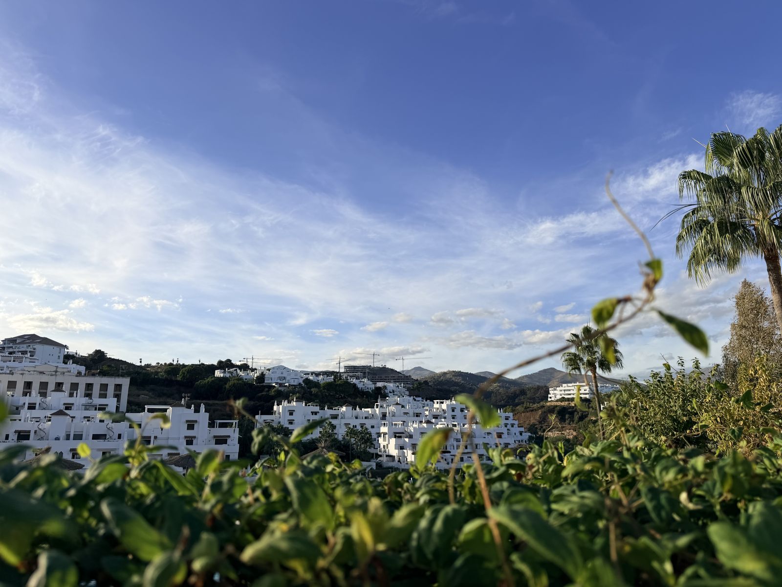 11c7d5be19872a4207c778ac068afc7e - 8