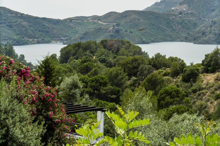 23697c3bd7a3ec8101240461eb414f36 - 3