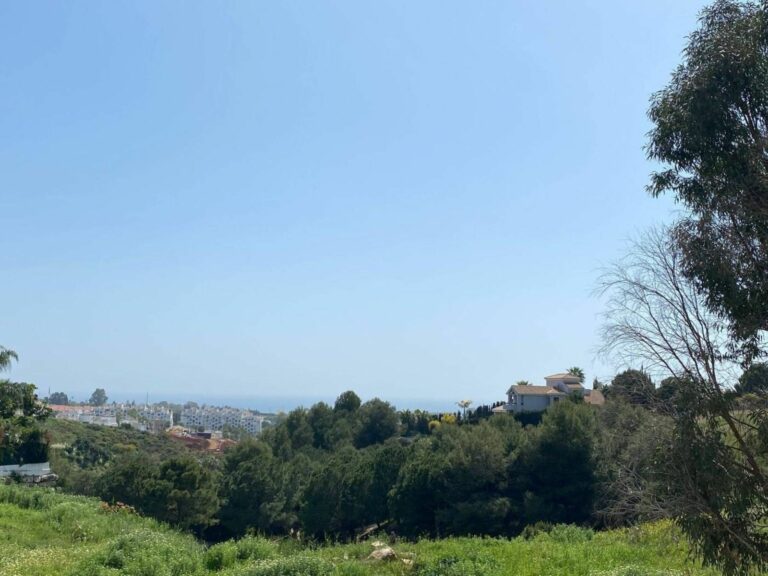 2796f8a1566b3ff137a6fd9c73dde349 - 13