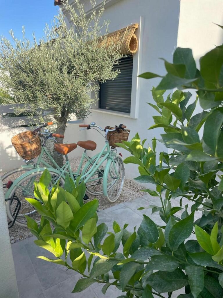 2a45d26c838be14fad7181cdb1b90040 - 4