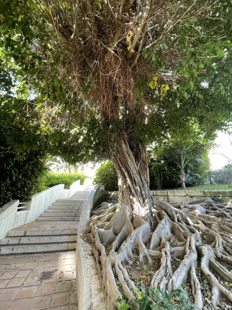 2d840ce85de1c9078ca105475c487e4d - 12