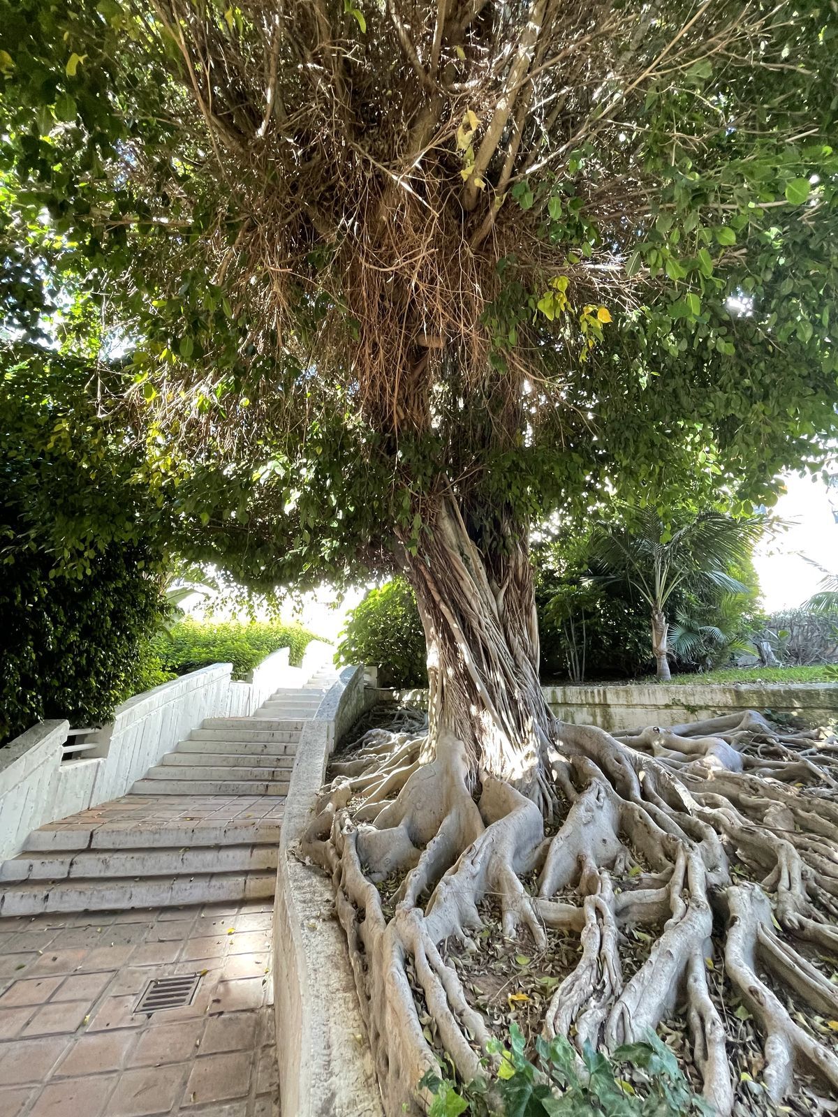 2d840ce85de1c9078ca105475c487e4d - 12