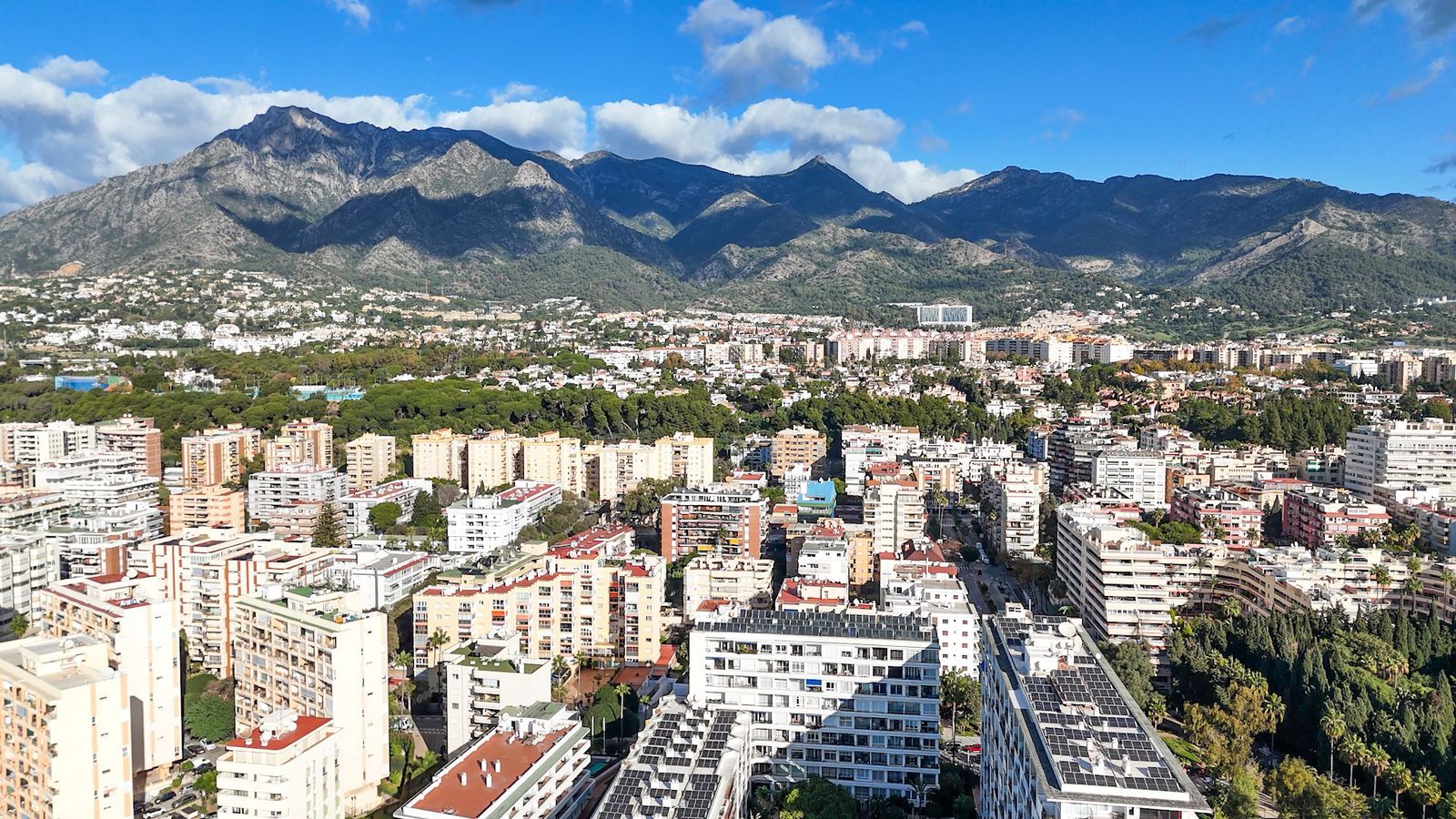 2ef5b5e9fbb50d11d94b2f9e39f6c255 - 13