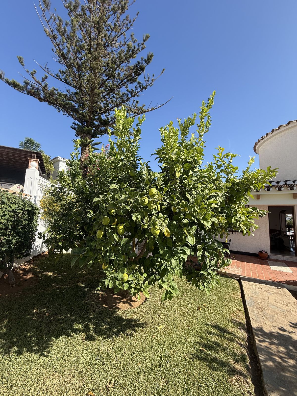 3130580224c363ca1aa44e8793010ff8 - 4